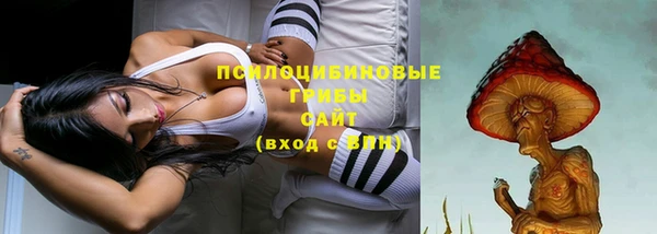 прущая мука Краснослободск