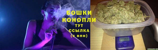 СК Мурманск