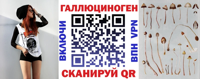 mega tor  как найти   Сычёвка  Галлюциногенные грибы Magic Shrooms 